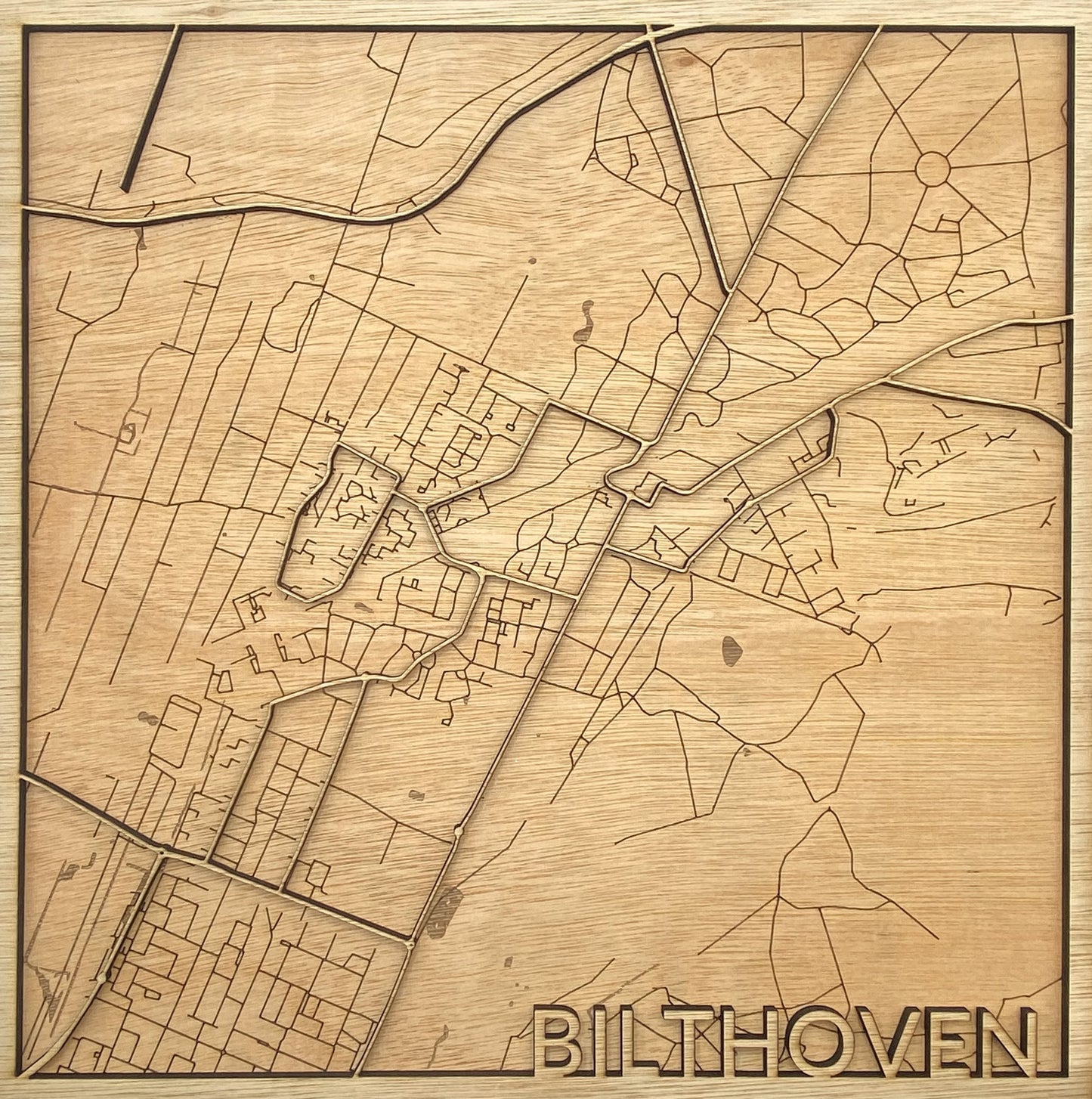 Houten reliëf kaart - Bilthoven