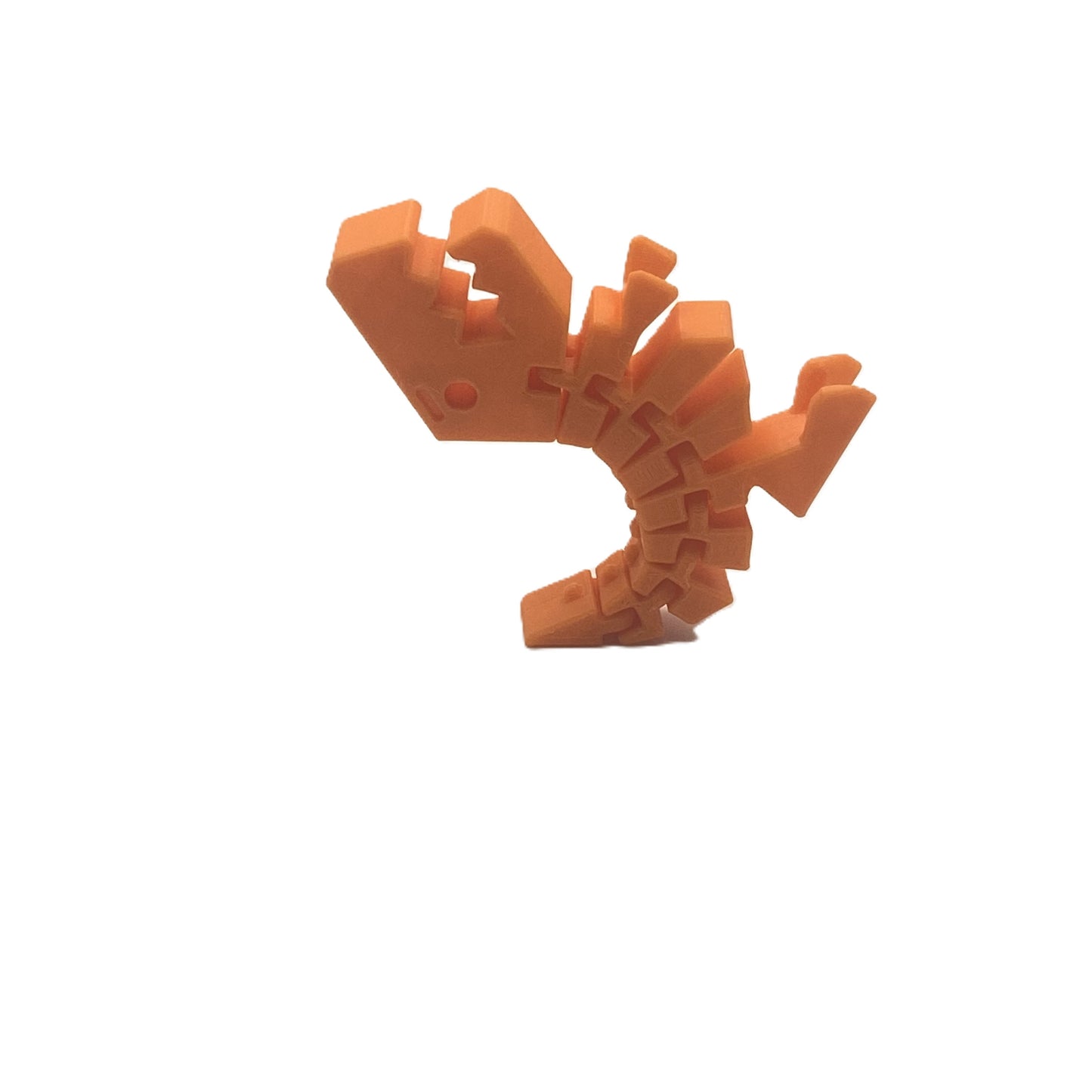 Flexi Rexi