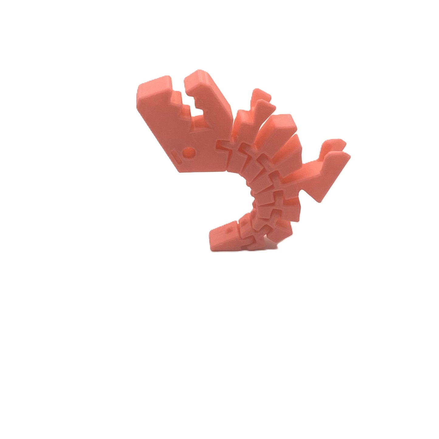 Flexi Rexi